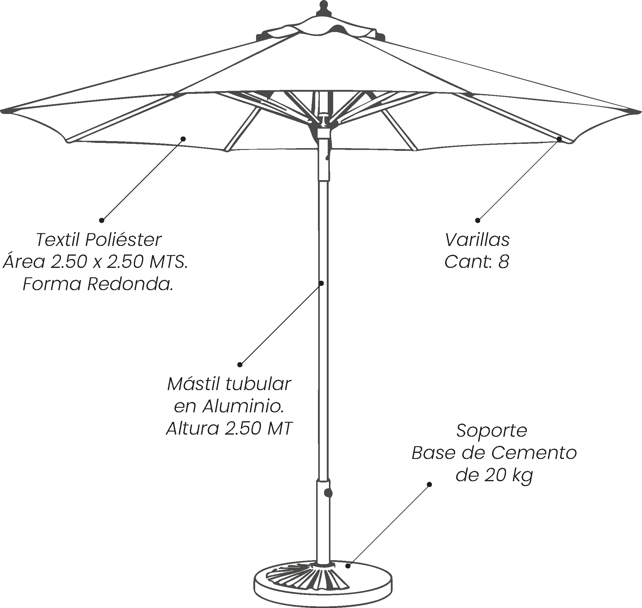 vector-parasol-living-1