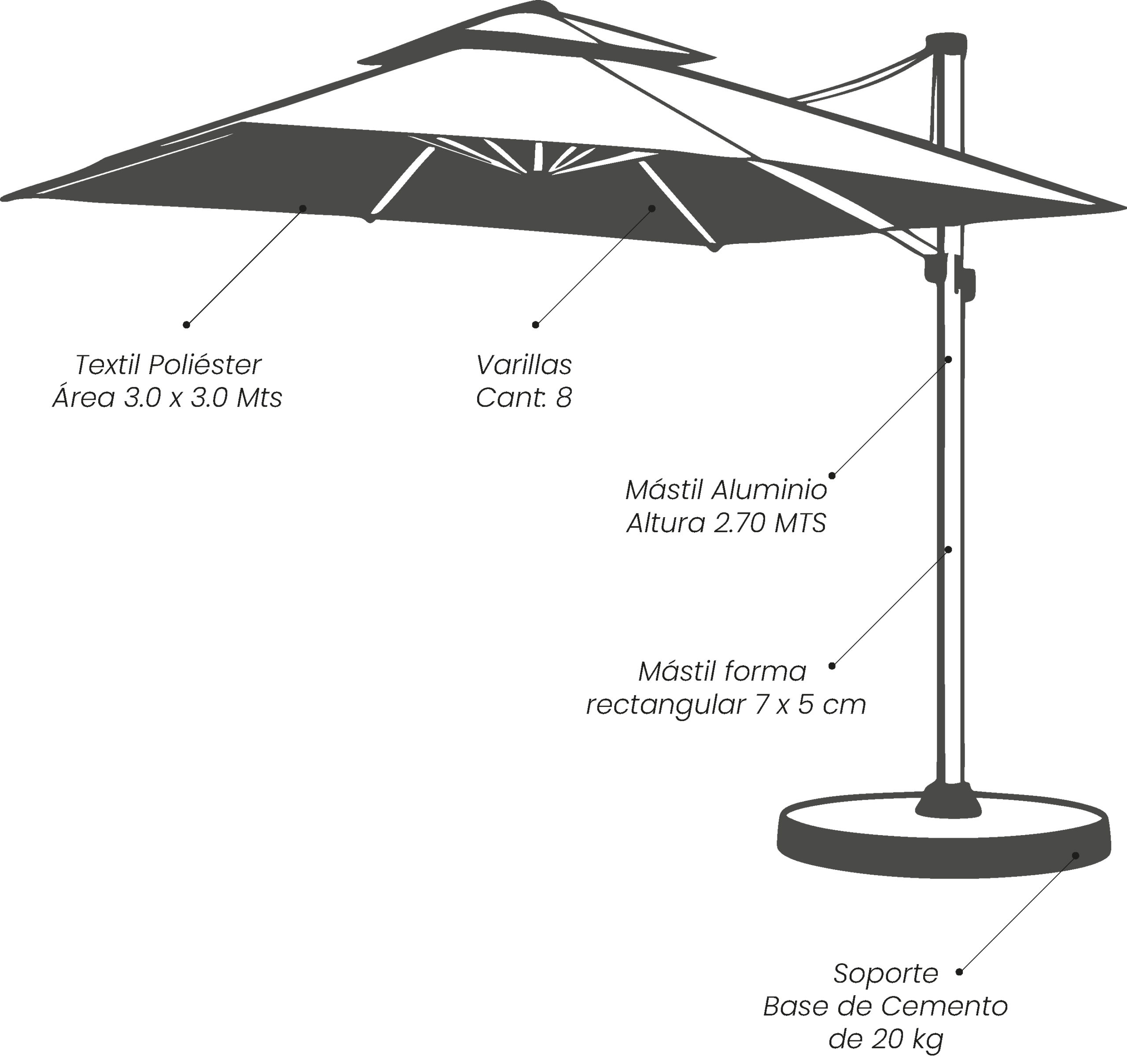 vector-parasol-prime